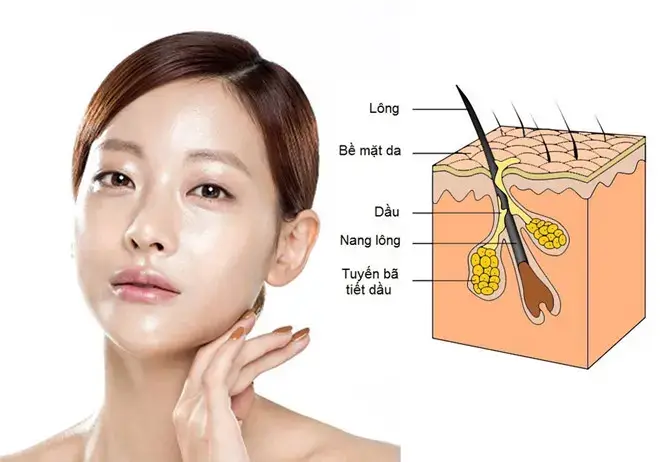 tuyến bã nhờn hoạt động mạnh