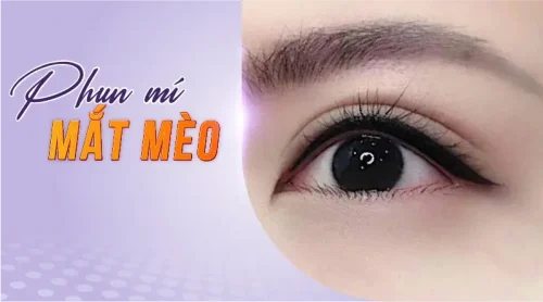 phun mí mắt