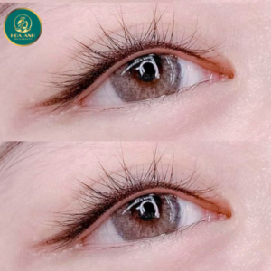 phun mí mắt eyeliner