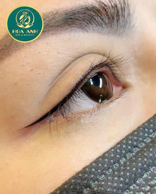 phun mí mắt