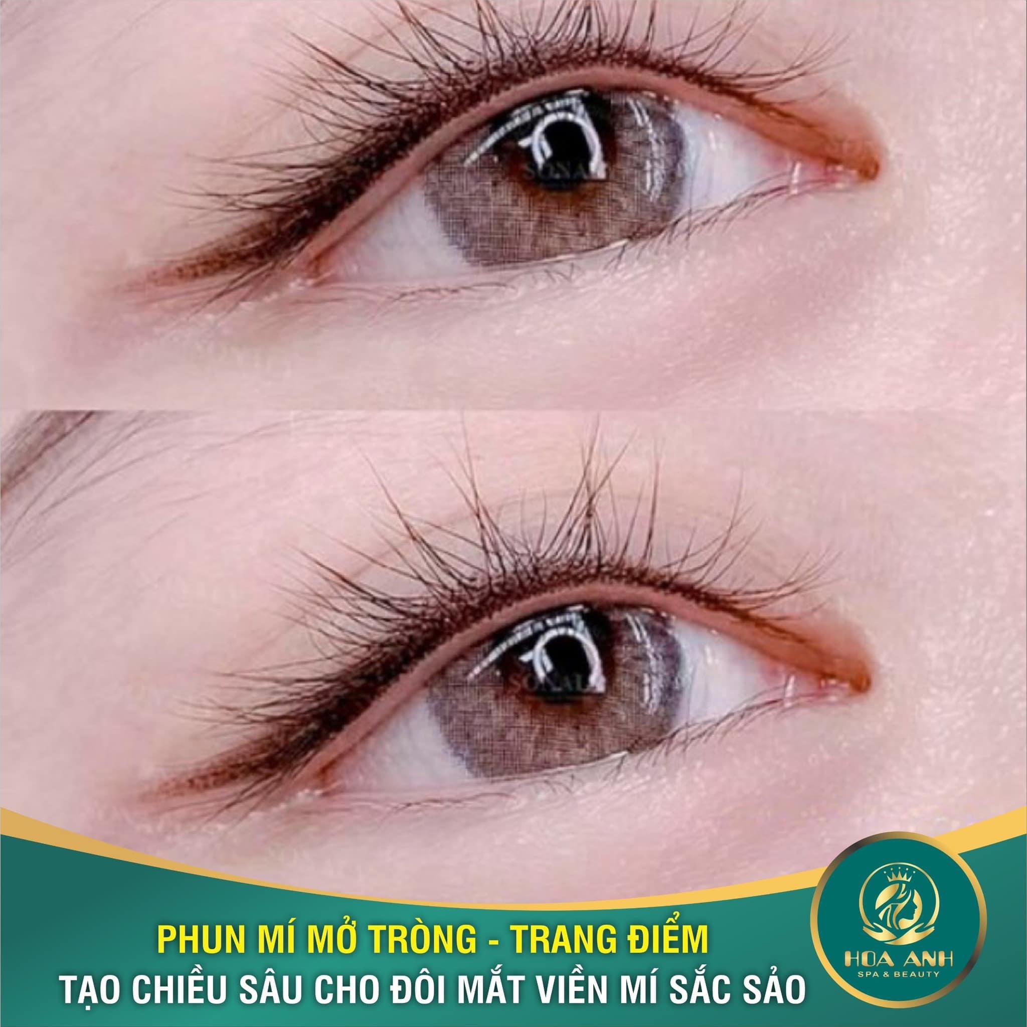 phun mí mắt
