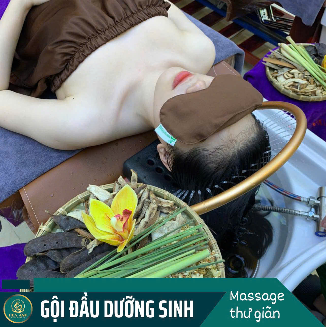 gội đầu dưỡng sinh